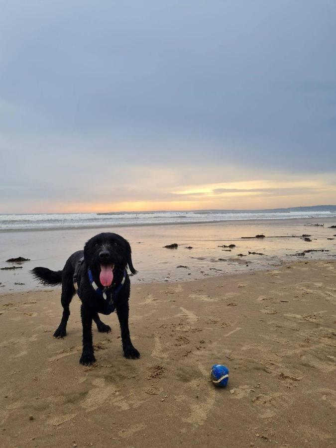 Old Road Cottage Pet Friendly Outdoors Beaches Neath Bagian luar foto